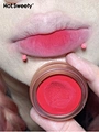 Matte Waterproof Lipstick